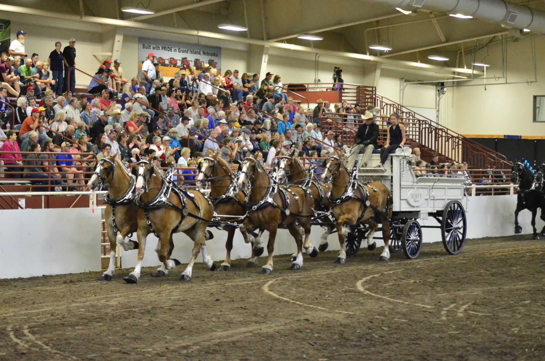 8-25-19 Draft Horse Hitch Final (100).JPG